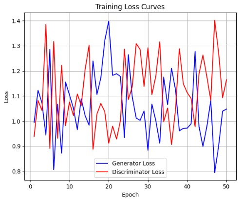 Loss Curves