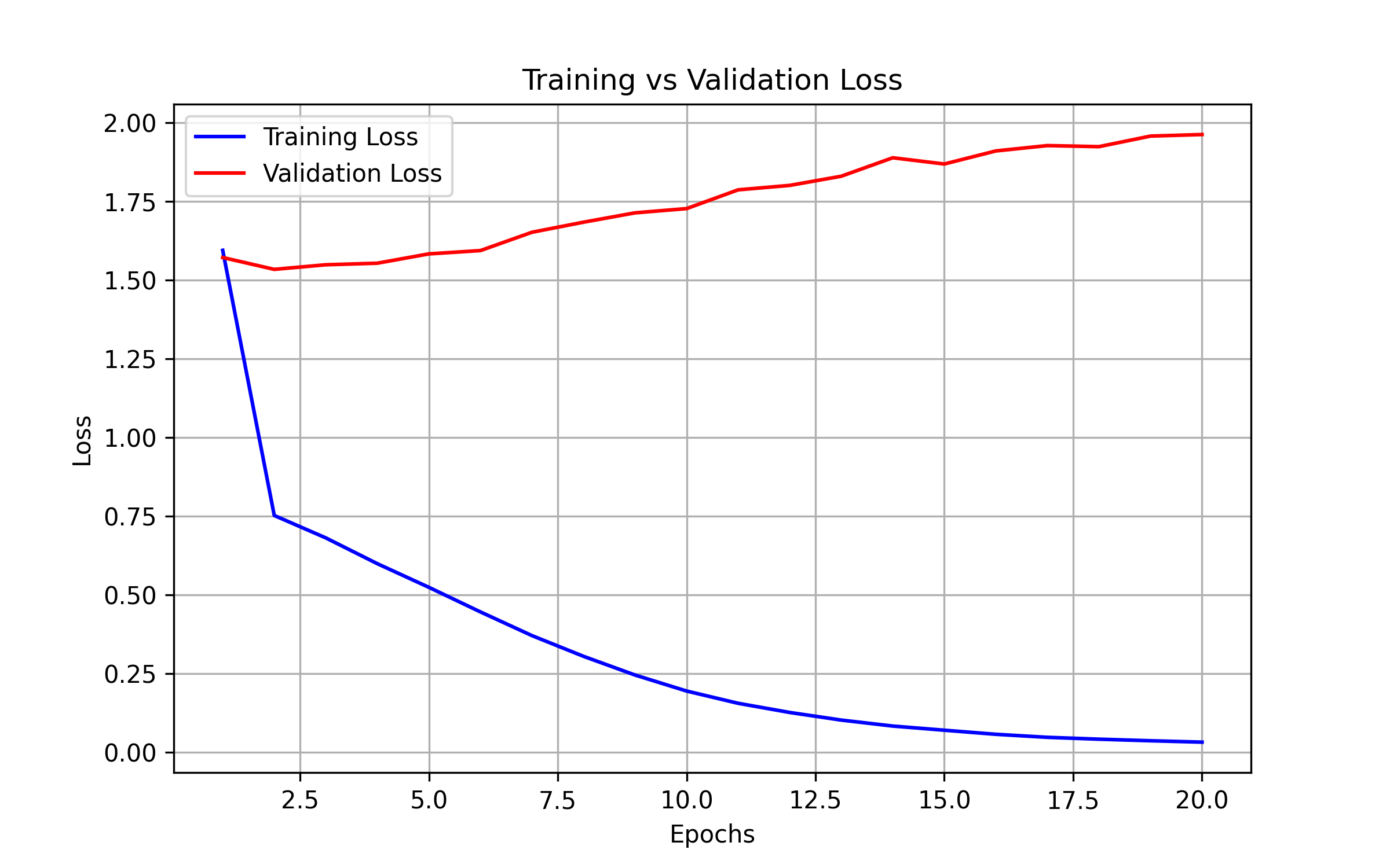 Loss Curves
